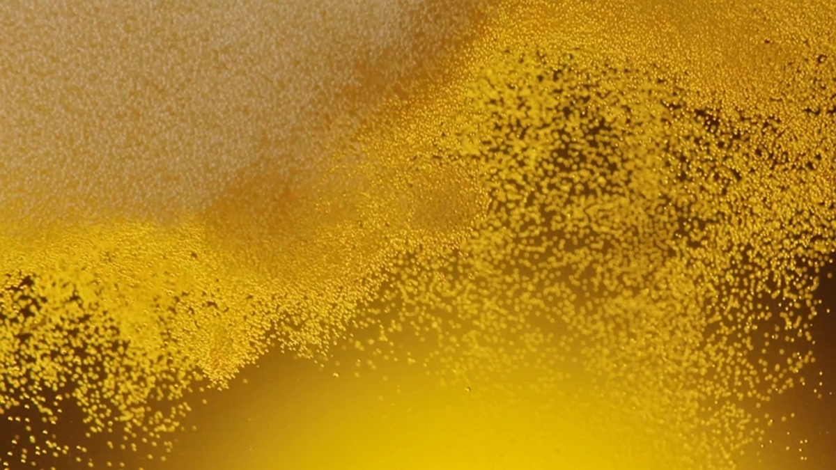 사진제공 = 하이트진로