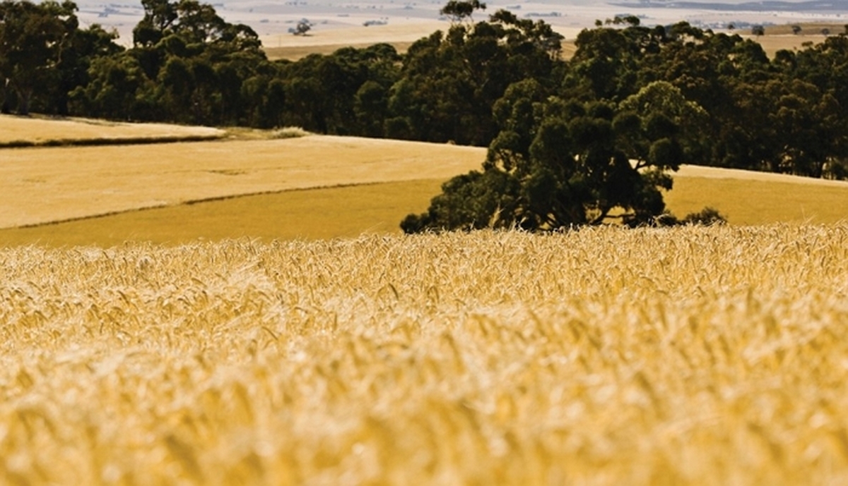 기사의 이해를 돕기 위한 자료 사진 / gettyimagesBank
