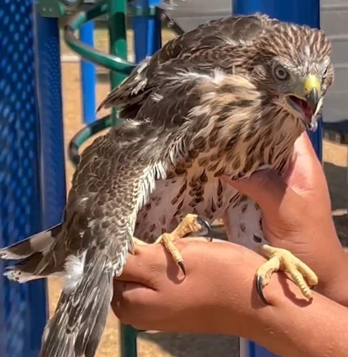 2026-03-04 12 57 00.jpg