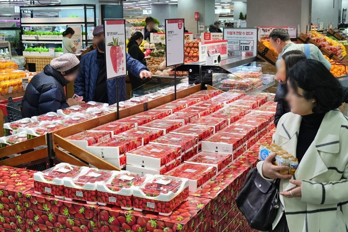 사진1. 롯데마트 제타플렉스 잠실점 농산 매장 전경.JPG