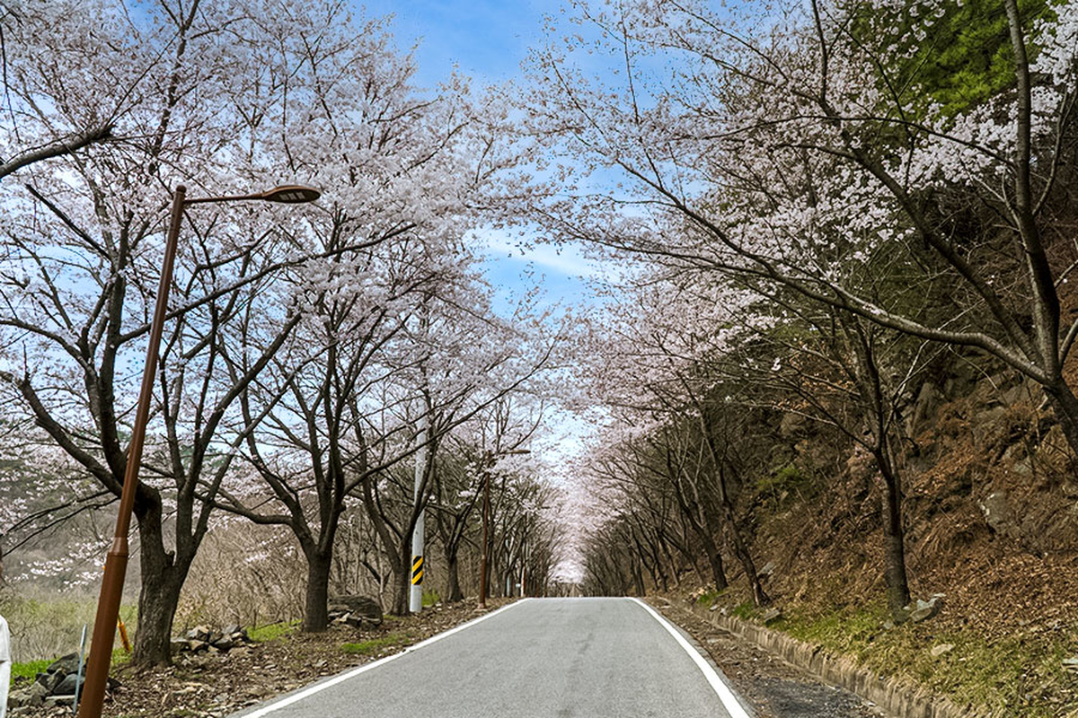 옥마산 / 보령시