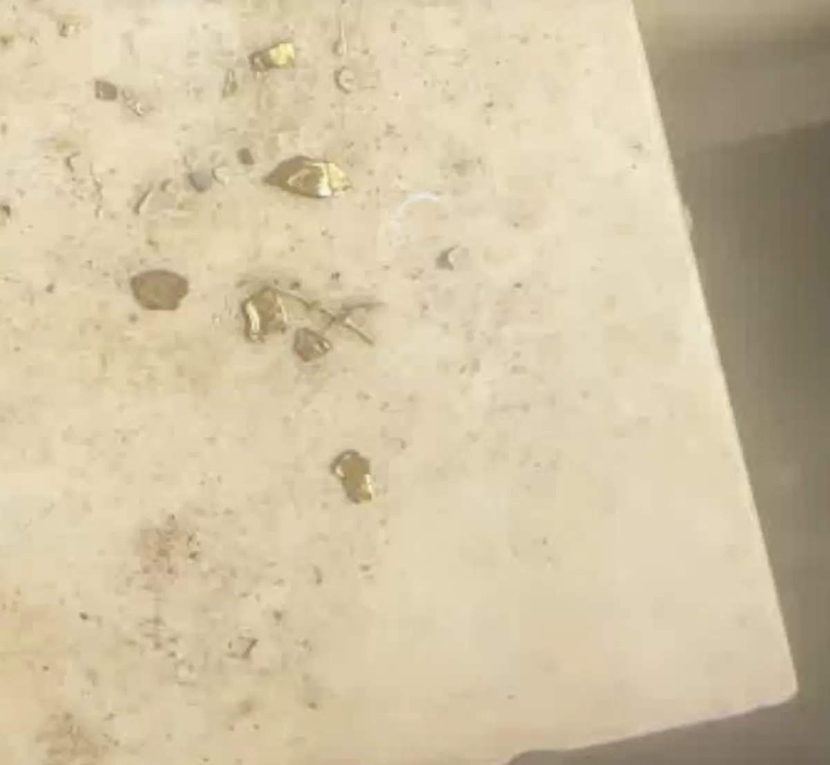 오리 위장에서 발견된 금 조각. SCMP