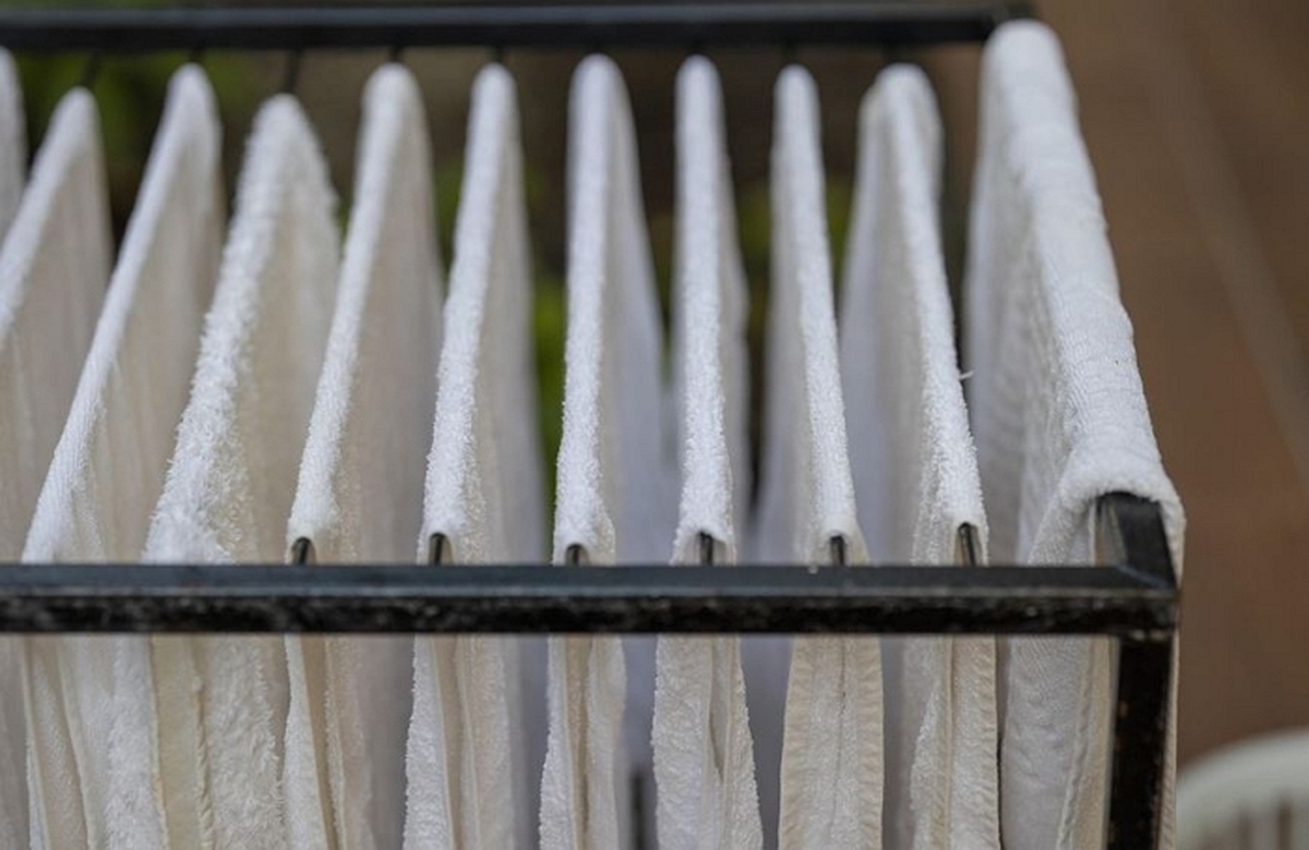 기사의 이해를 돕기 위한 자료 사진 / pixabay