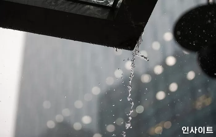 기사의 이해를 돕기 위한 자료 사진 / 사진 = 인사이트