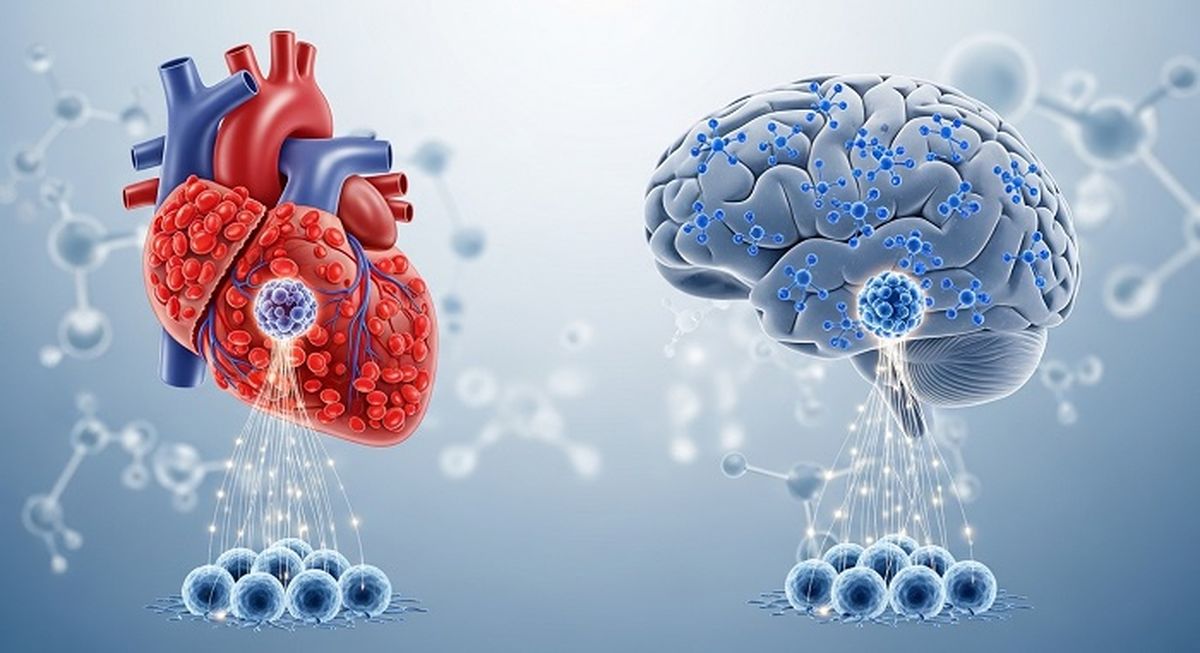 심장병·파킨슨병 치료 길 열리나... 일본, 세계 최초 ‘만능줄기세포 치료제’ 승인