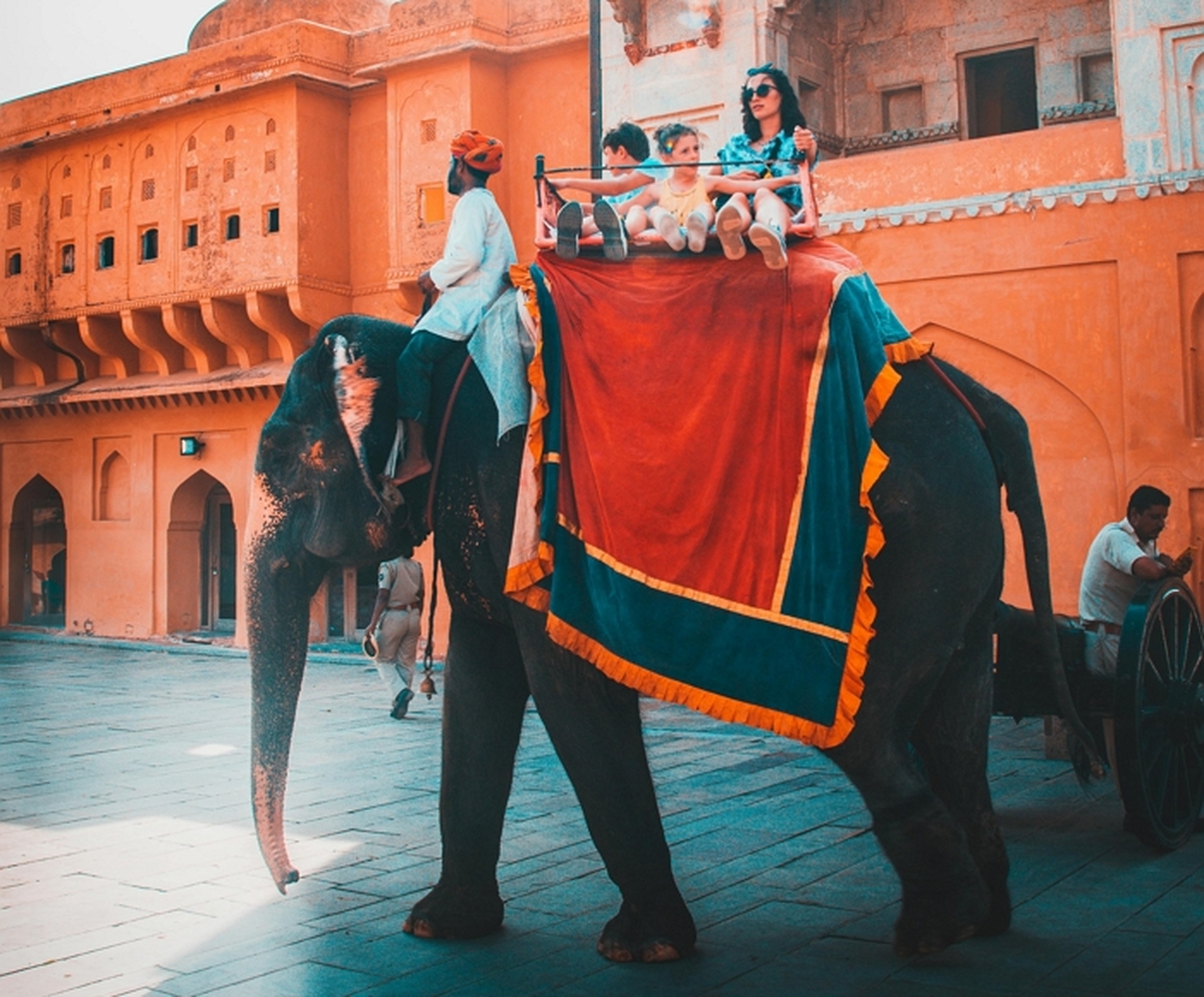 인도네시아 “코끼리 관광용 탑승 전면 금지” 아시아 최초 선언