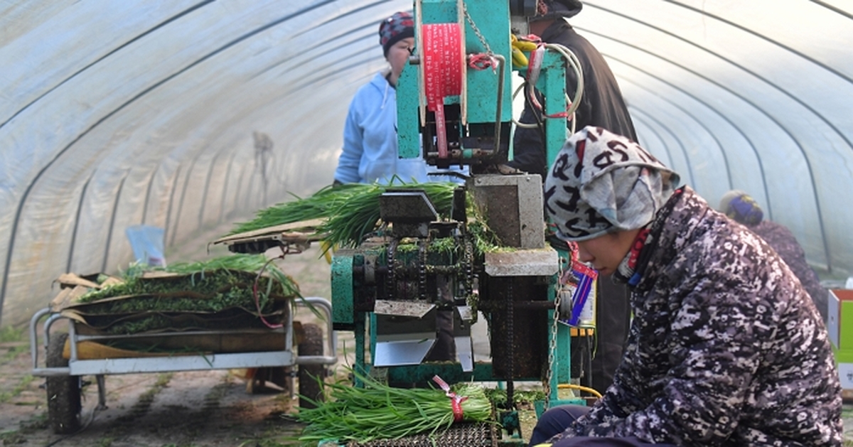 외국인 전문 인력 근로자 절반 이상 월 평균 수입 300만원 이상 받는다