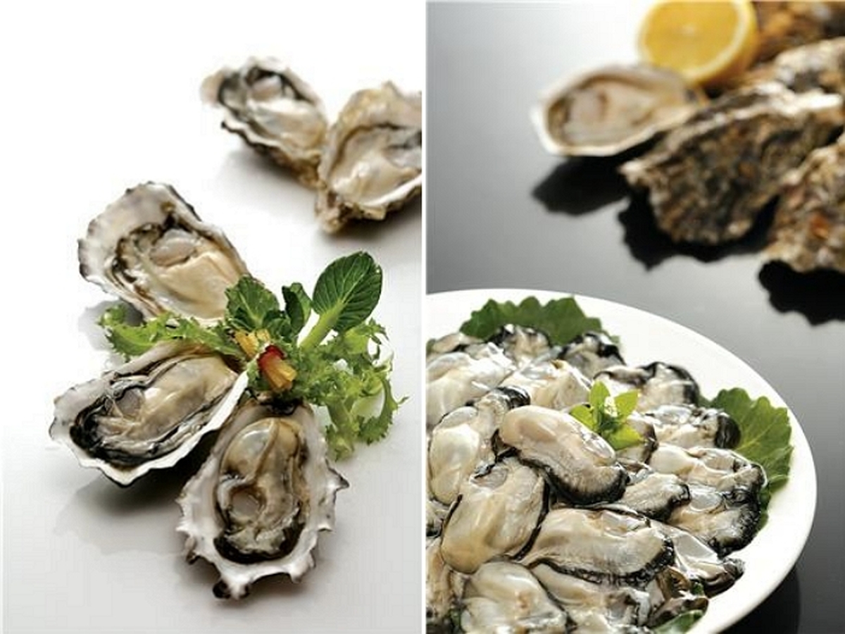 “겨울이 제철?” 굴, 실제로는 봄이 더 맛있다... “더 달고 영양 풍부해‘