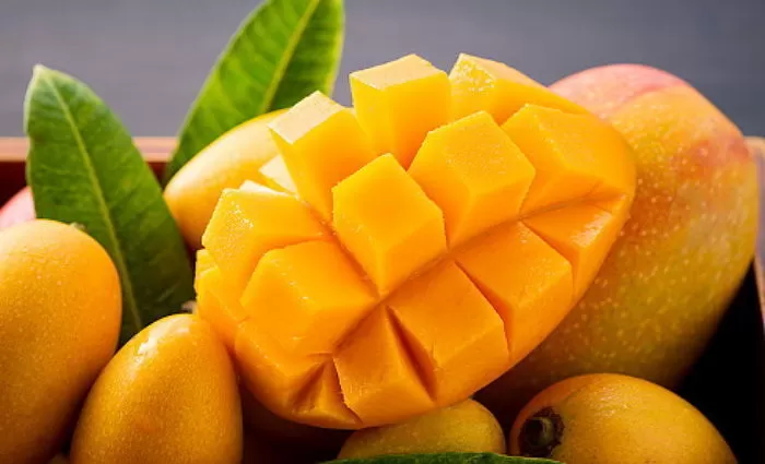 기사의 이해를 돕기 위한 자료 사진 / gettyimagesBank