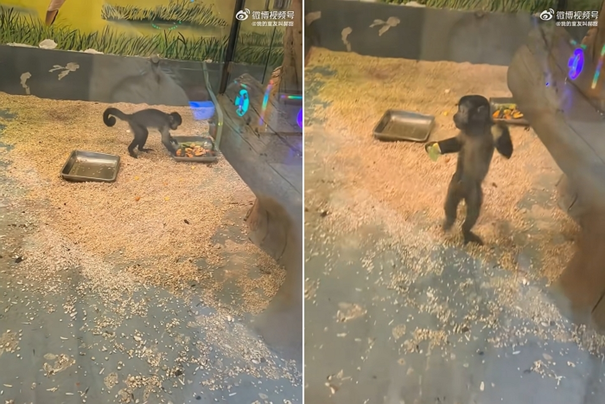 2026-03-12 16 06 07.jpg