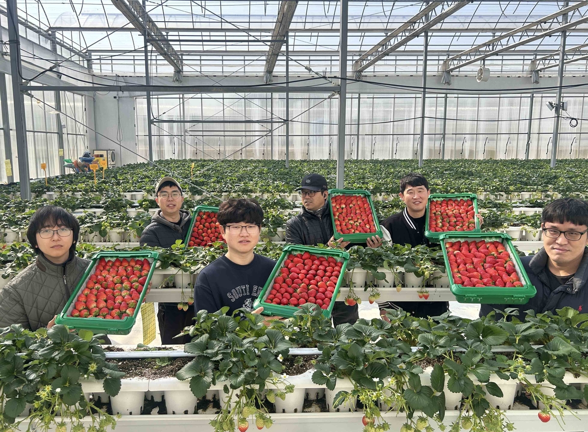 [쿠팡 이미지 2] 경북 의성의 '진한딸기 공선회' 청년 농부들이 상품과 함께 사진 촬영하고 있다..jpg