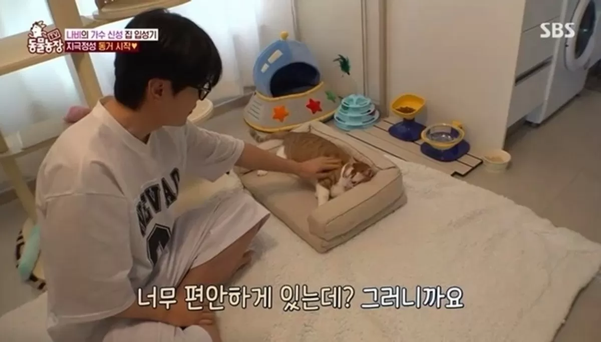 사진=SBS ‘TV 동물농장’