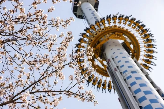 기사의 이해를 돕기 위한 자료 사진 / 뉴스1