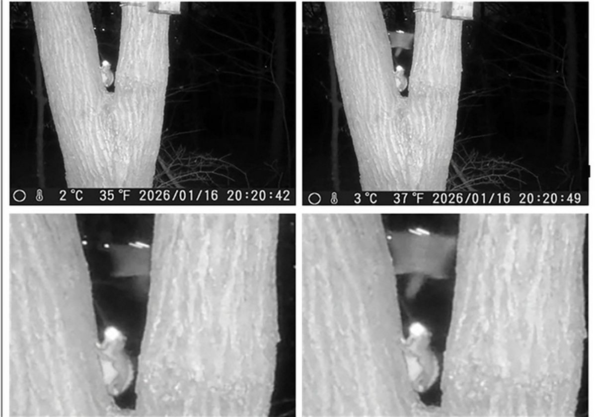 HD현대와 성남시 ESG 협업했더니... 2년만에 '멸종위기' 동물 돌아왔다