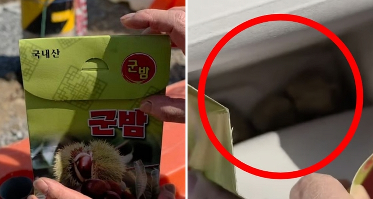 2026-03-18 09 45 55.jpg