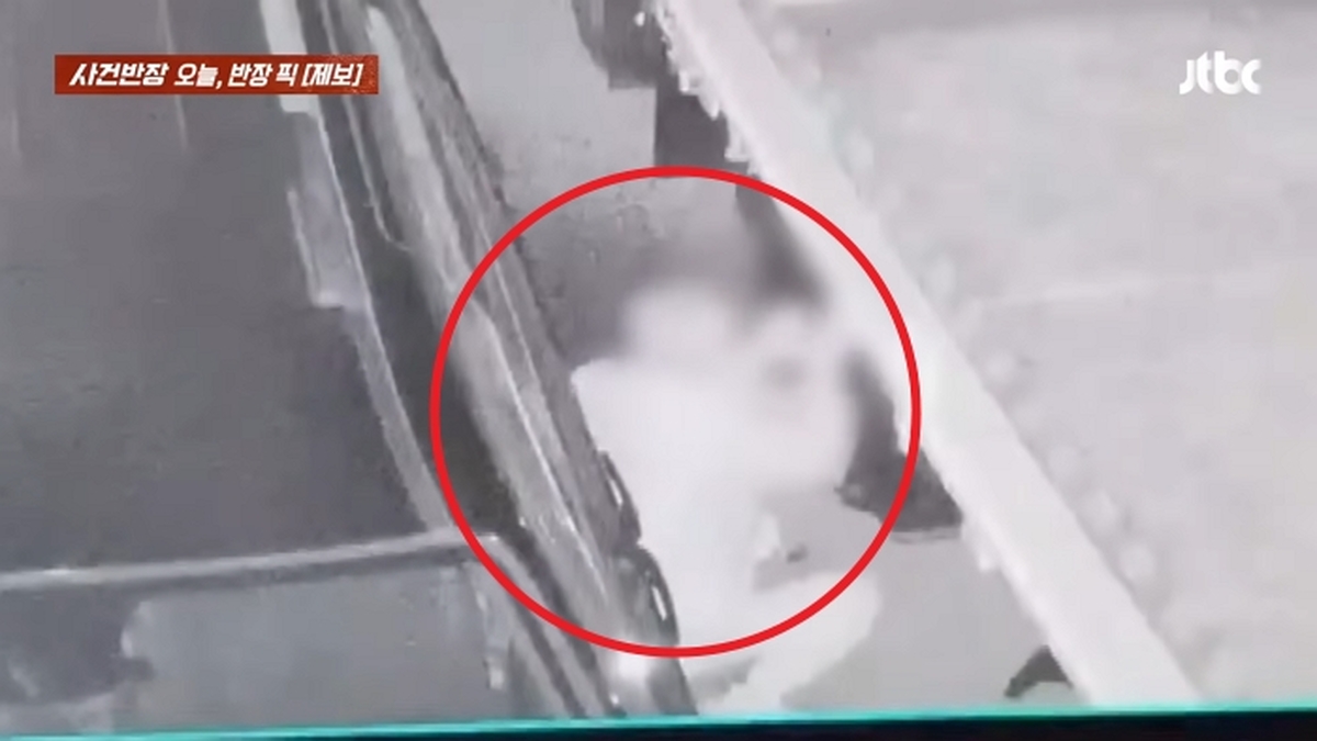 중동 사태에 유가 오르자 ‘기름 도둑’ 등장... 한밤중 주차장서 포착된 충격 장면