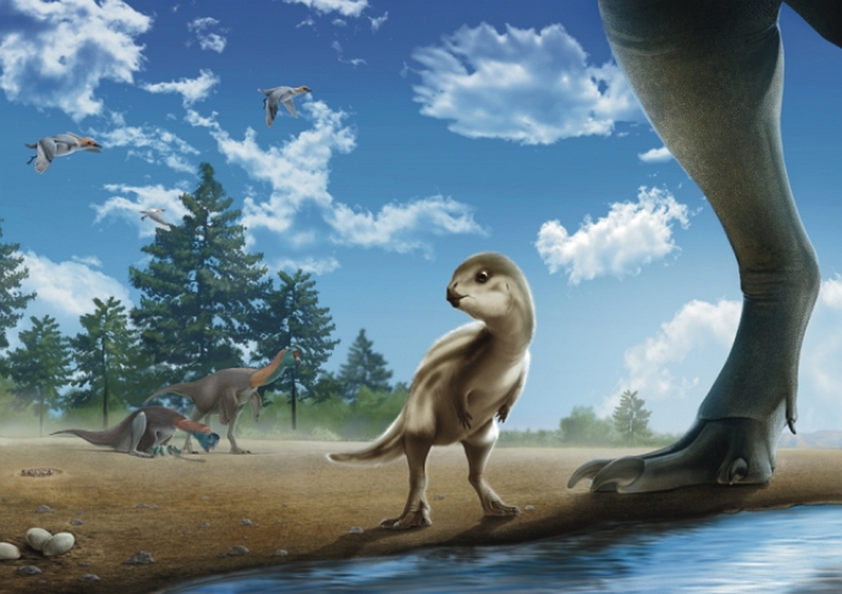 어린 둘리사우루스 허미니(Doolysaurus huhmini) 상상도 / 팔레오아티스트 이준성 씨 제공