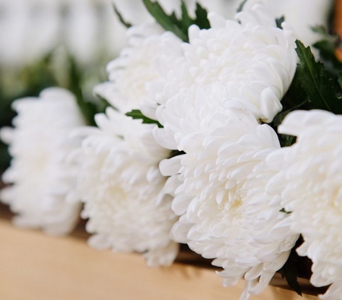 기사의 이해를 돕기 위한 자료사진 / gettyimagesBank