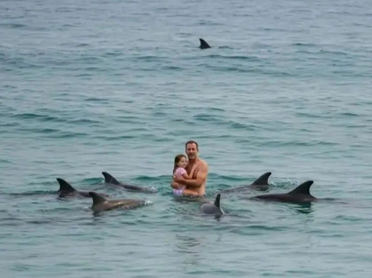 수영하던 부녀 촘촘하게 에워싼 ‘돌고래 떼’... 바다서 일어난 기적 같은 실화