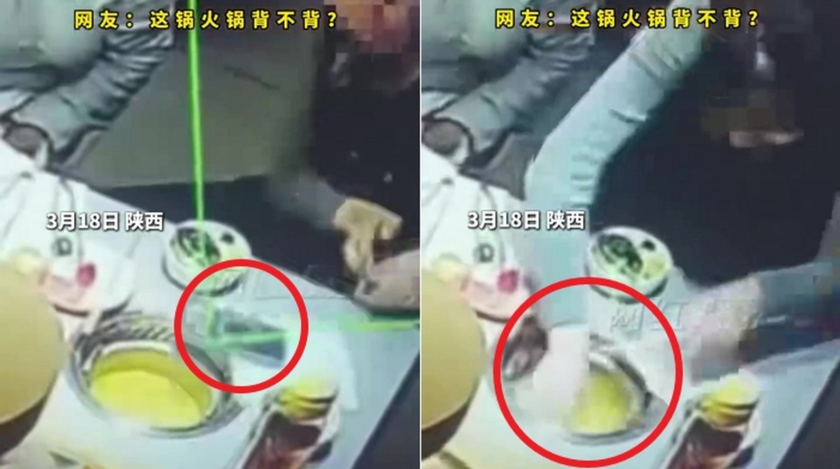 2026-03-23 11 03 31.jpg