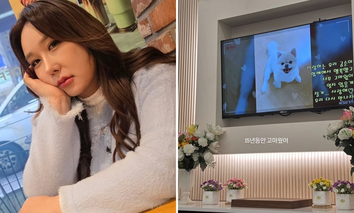 2026-03-23 15 49 15.jpg