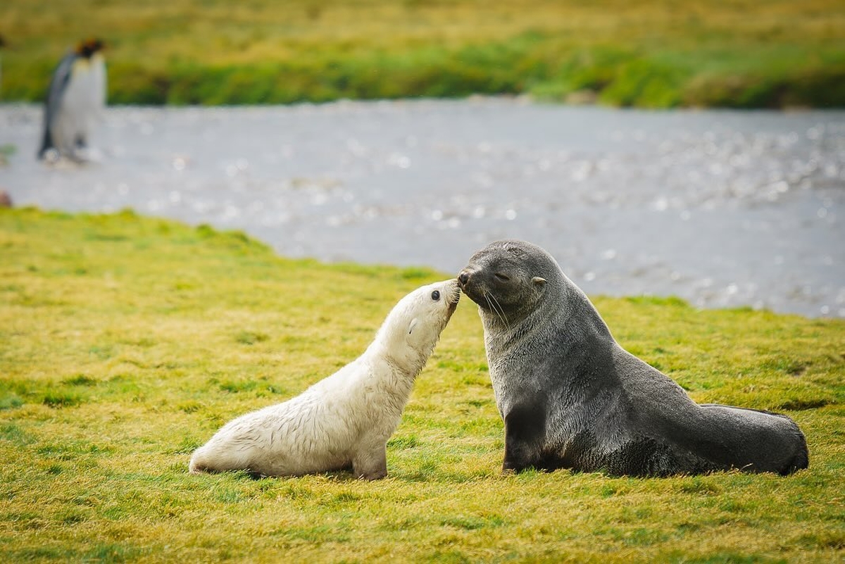 인스타그램 'thien_nguyen_images'