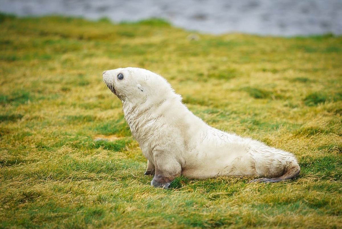 인스타그램 'thien_nguyen_images'