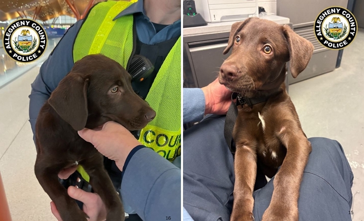 2026-03-24 10 08 47.jpg