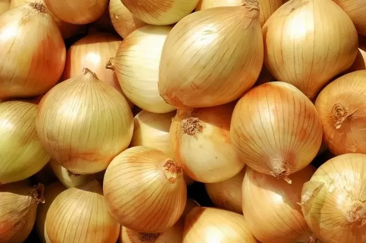 기사의 이해를 돕기 위한 자료사진 / gettyimagesBank