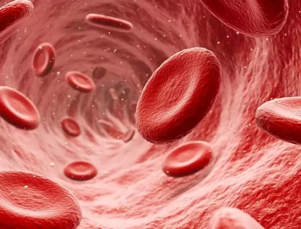 기사의 이해를 돕기 위한 자료사진 / gettyimagesBank