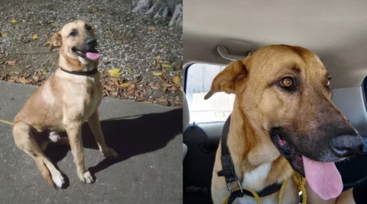 2026-03-25 15 36 54.jpg