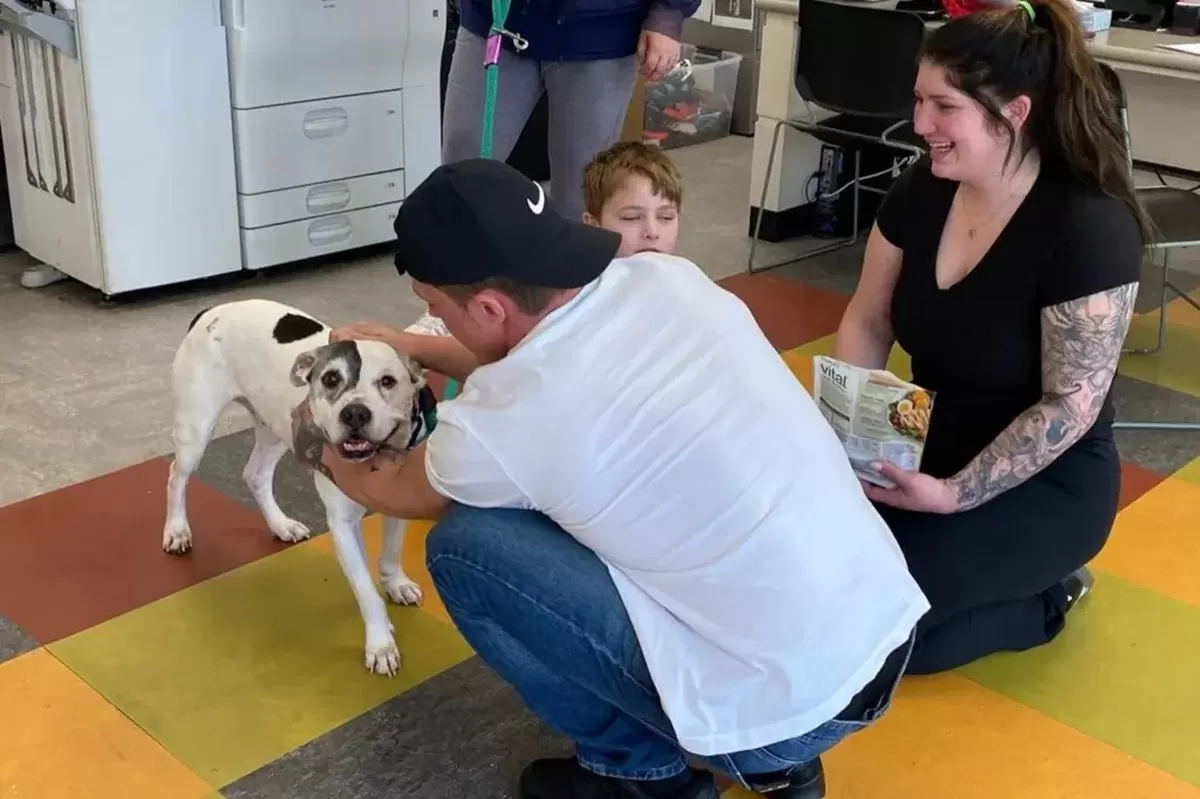 Forty, now an elderly dog, being reunited with his Philadelphia family in March 2026