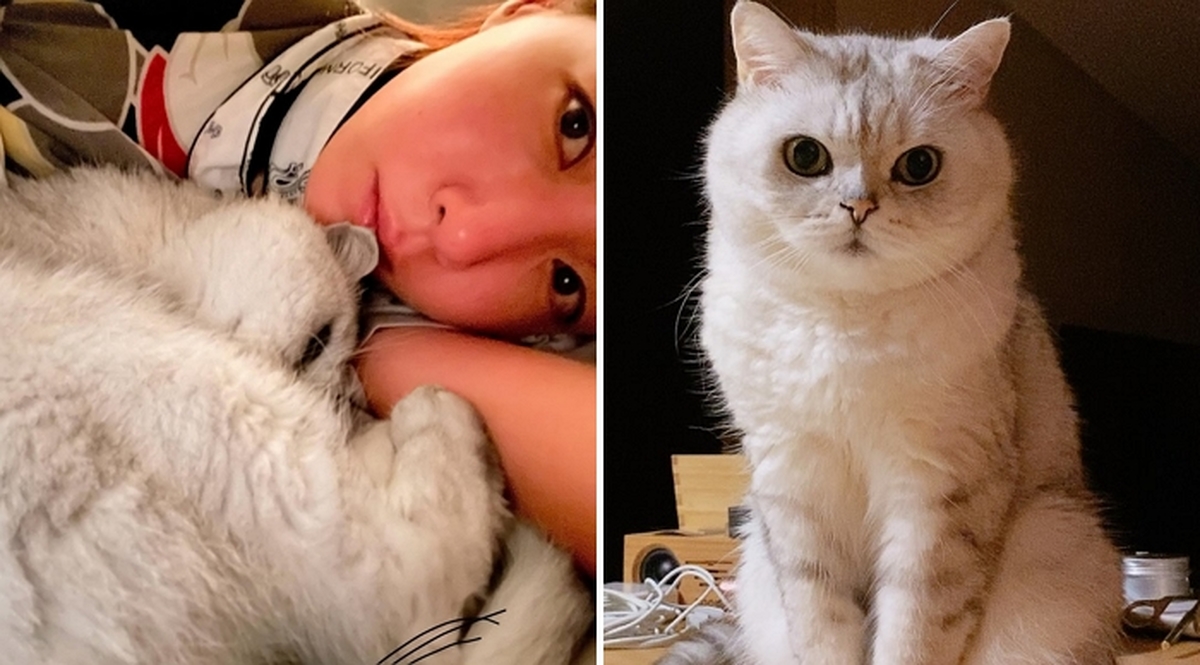 2026-03-26 14 57 45.jpg