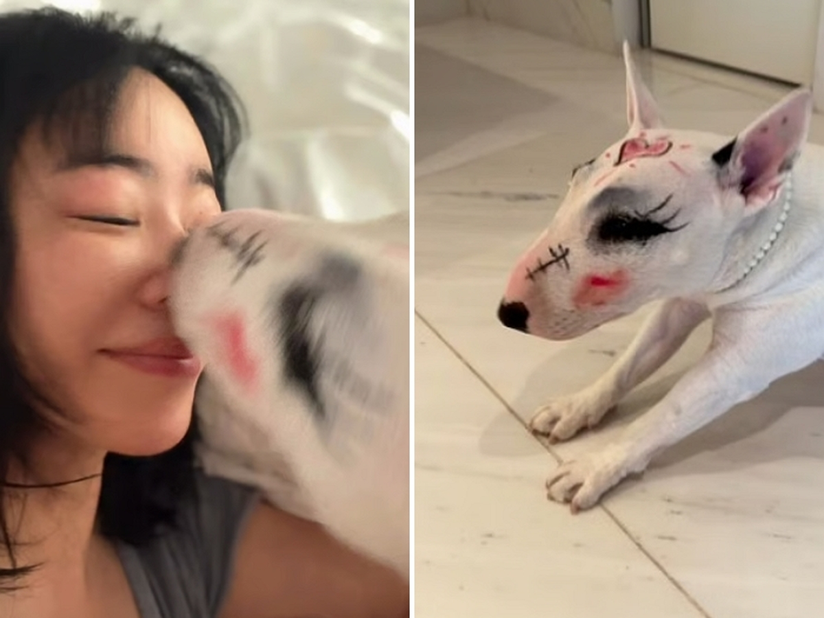 2026-03-27 08 41 56.jpg