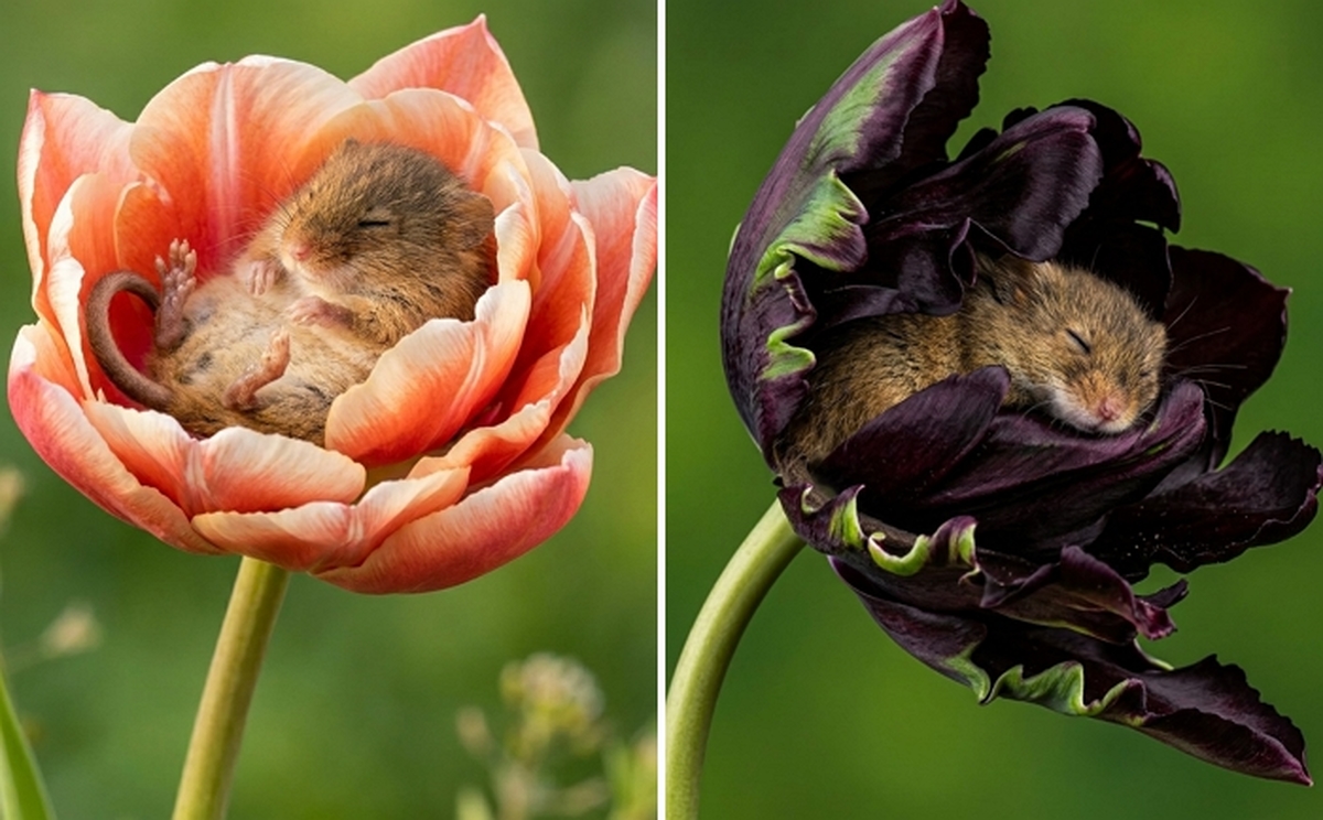 2026-03-27 14 19 43.jpg