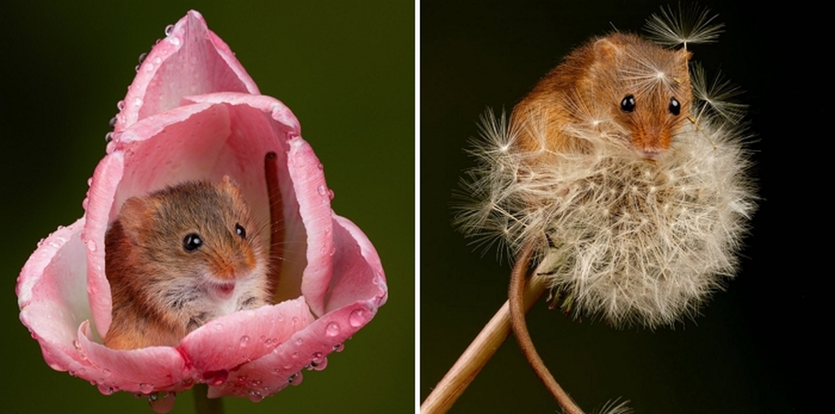 2026-03-27 14 20 40.jpg