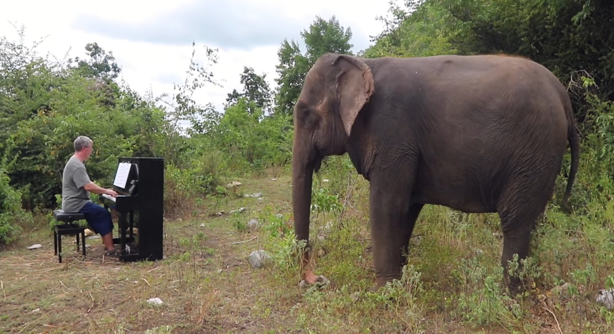 2026-03-31 15 10 59.jpg