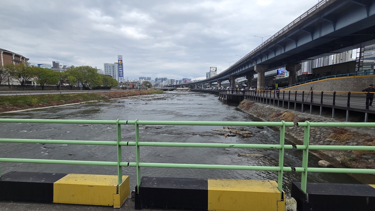 대구서 발견된 '캐리어 속 여성 시신'... 20대 딸과 사위, '긴급체포' 됐다