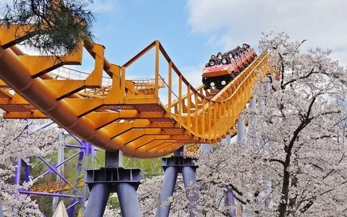 놀이기구 타면서 벚꽃 즐기기 / 사진=서울랜드