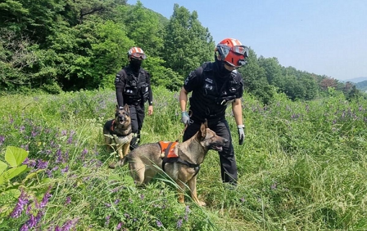 국가 위해 뛴 ‘은퇴견’ 입양하면 최대 100만 원 준다