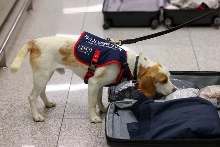 기사와 관련 없는 자료 사진 / 뉴스1&nbsp;