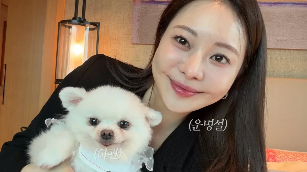 아옳이, 하루 160만원 반려견 호캉스..66억 자가 재력가 플렉스