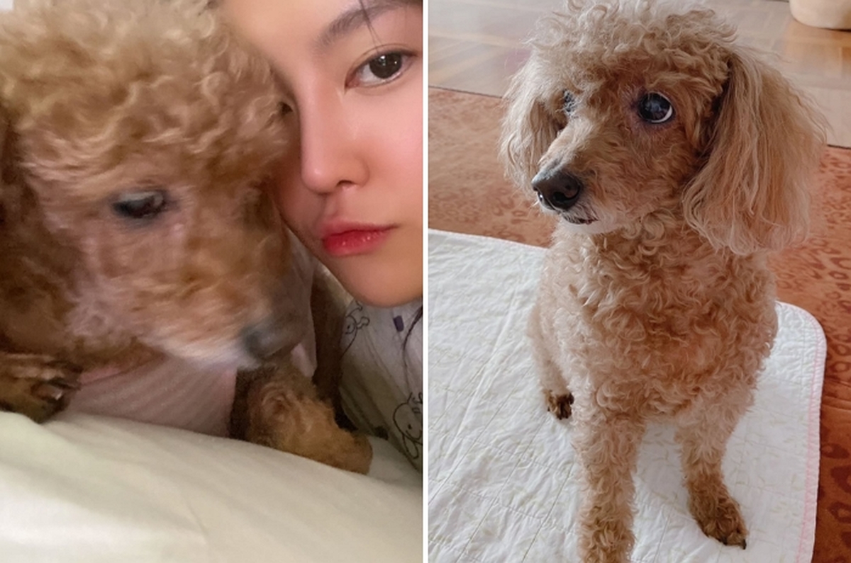 2026-04-01 14 46 26.jpg