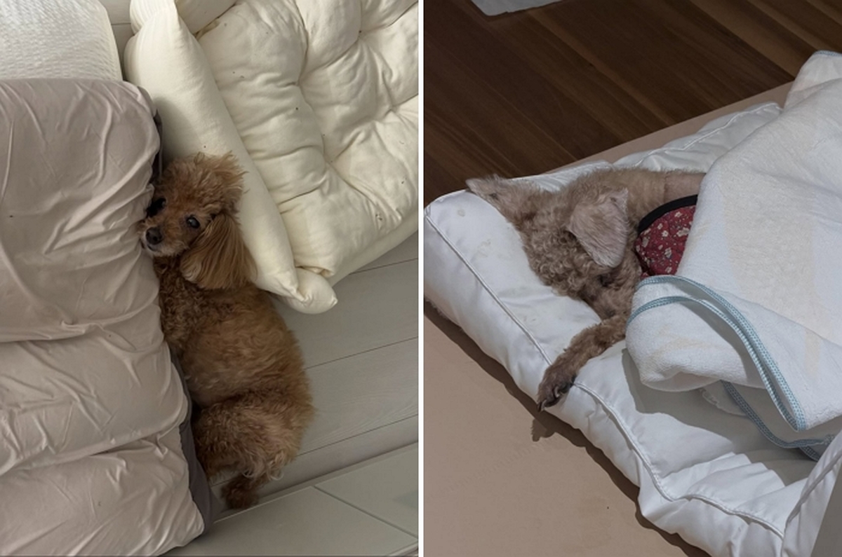 2026-04-01 14 46 13.jpg