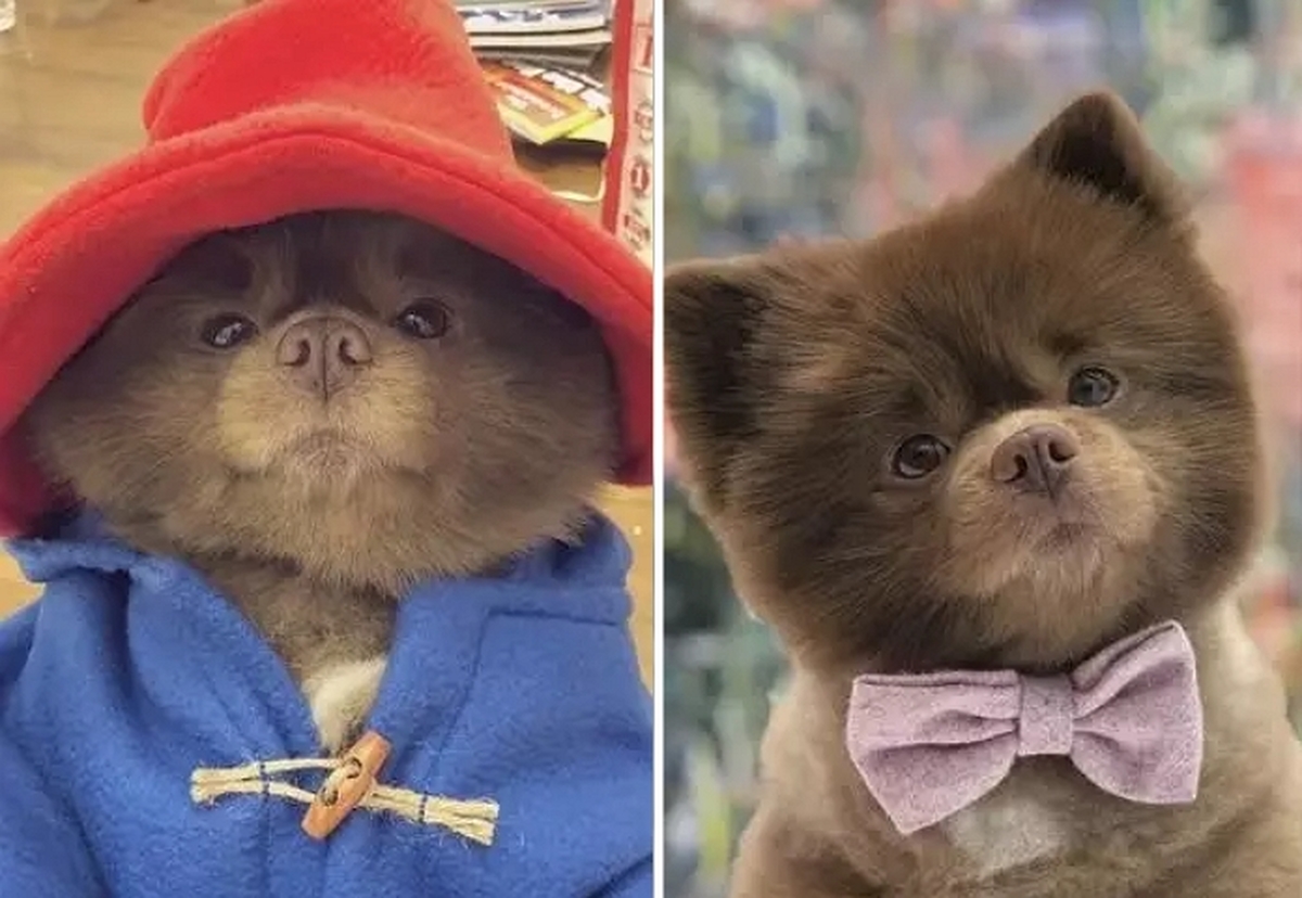 2026-04-02 16 38 30.jpg