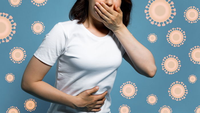 식중독,제주도,제주 분식집,제주 식중독,살모넬라균