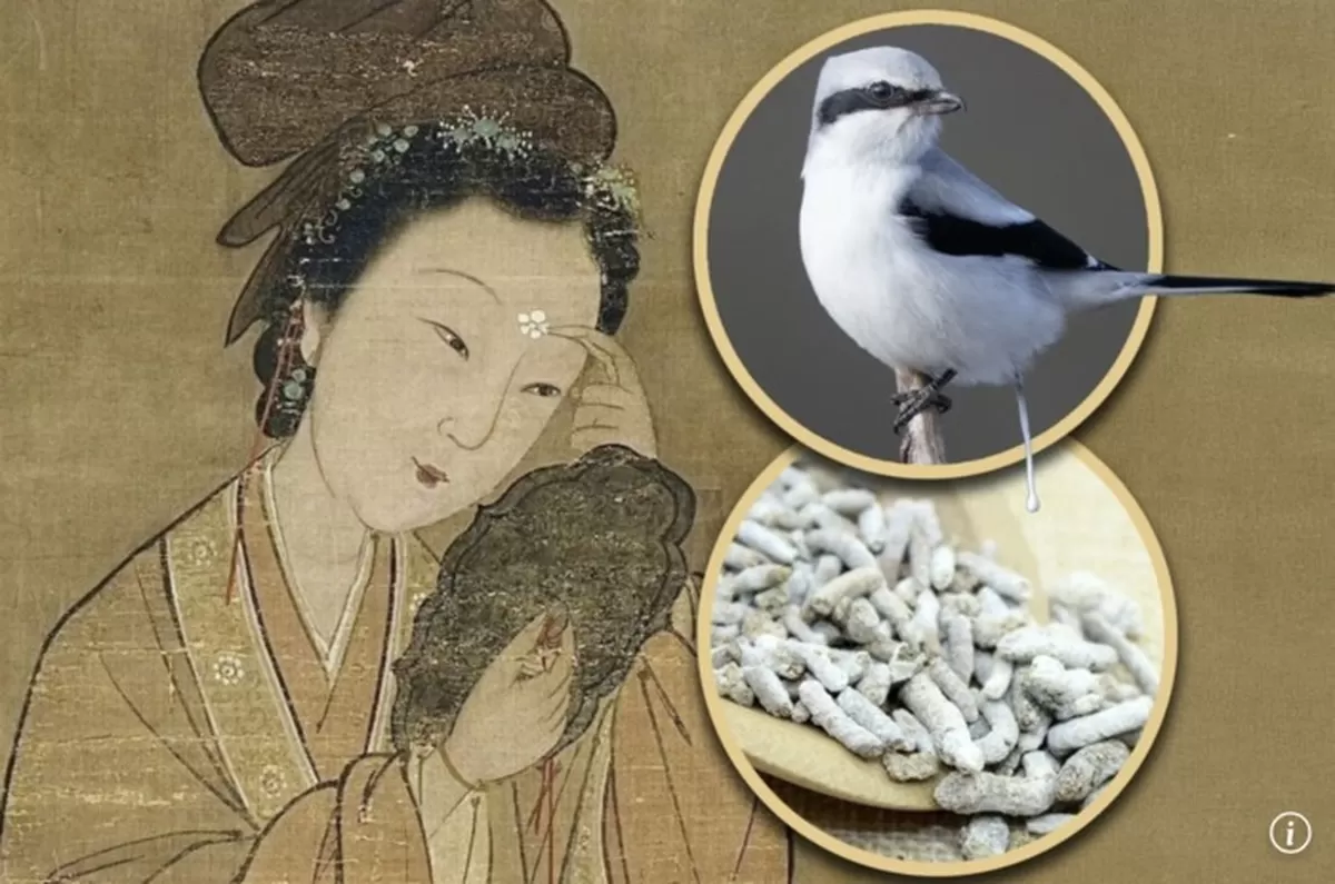 고대 중국에서는 새똥을 활용한 미백 화장품이 있었다고 한다. [출처=SCMP]