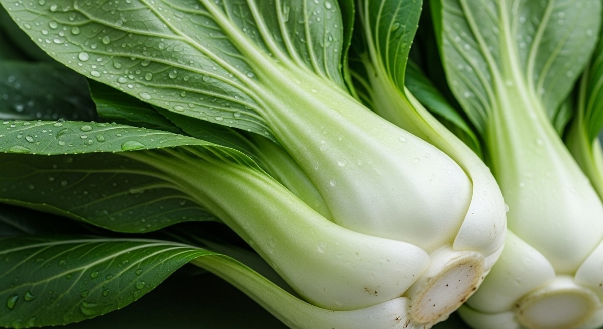 2026-04-03 14 09 15.jpg