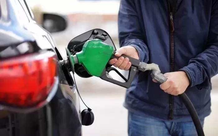 기사의 이해를 돕기 위한 자료 사진 / gettyimagesBank