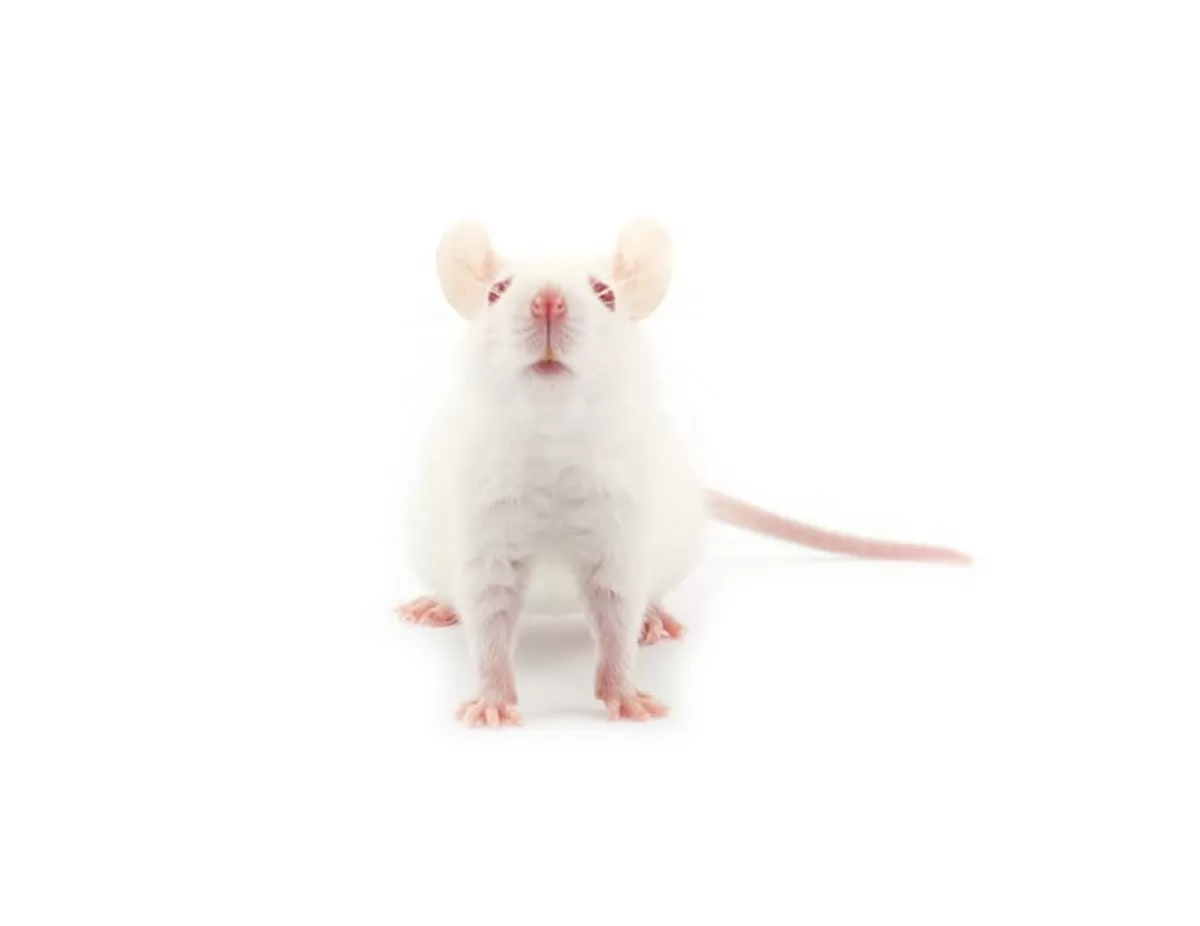 기사의 이해를 돕기 위한 자료사진 / gettyimagesBank